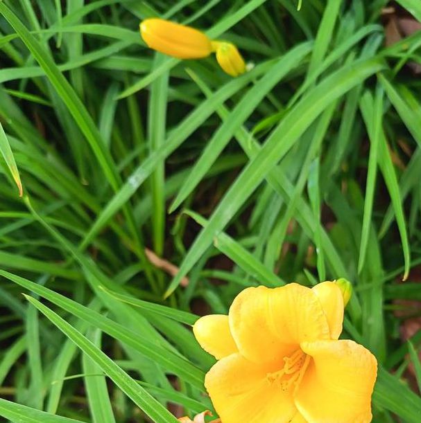 com忘忧草在线社区www韩国高清版