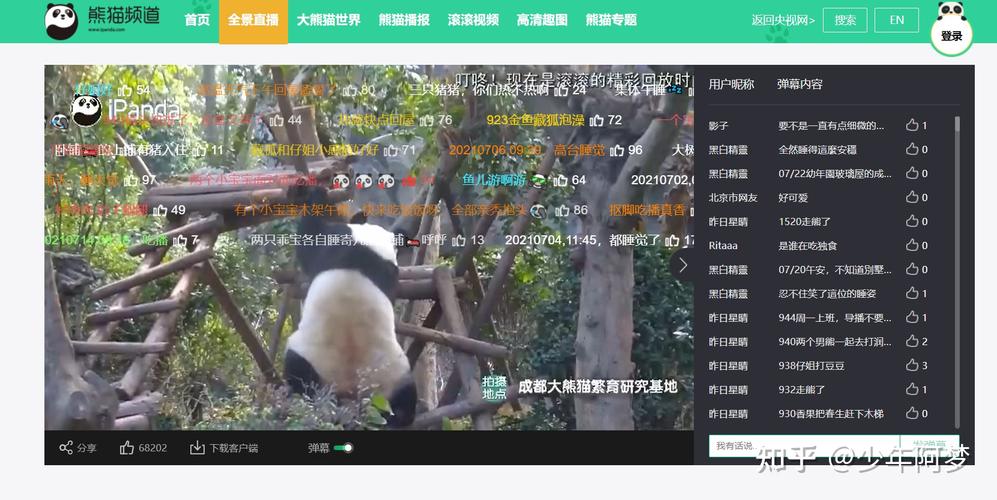 熊猫直播