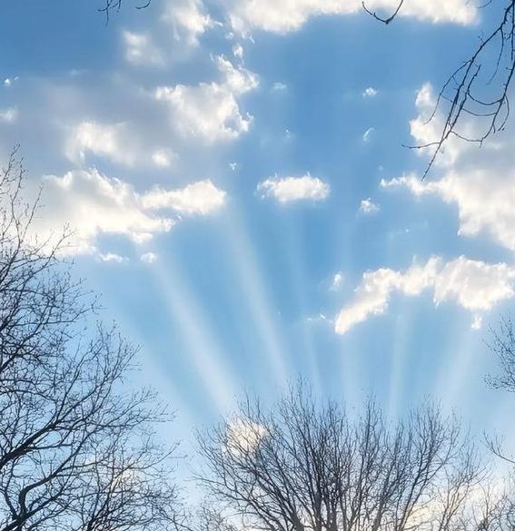 缓慢而有力的一下又一下视频