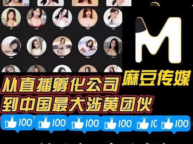 果冻传媒精选md