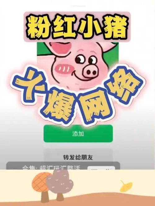 小猪视频推广版