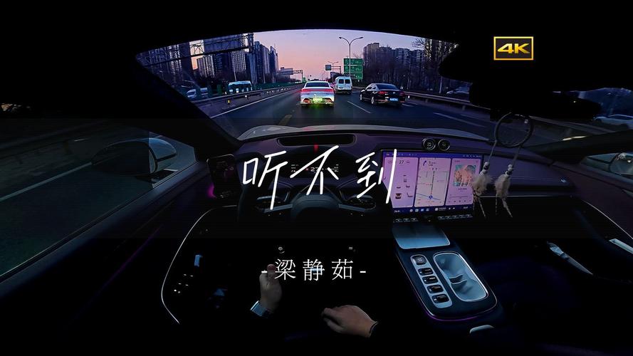 开车视频疼痛有声音文字