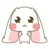大饼嘟嘟表情包