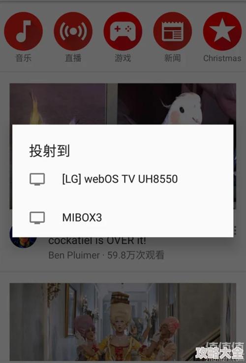 xfplayA最新资源网址
