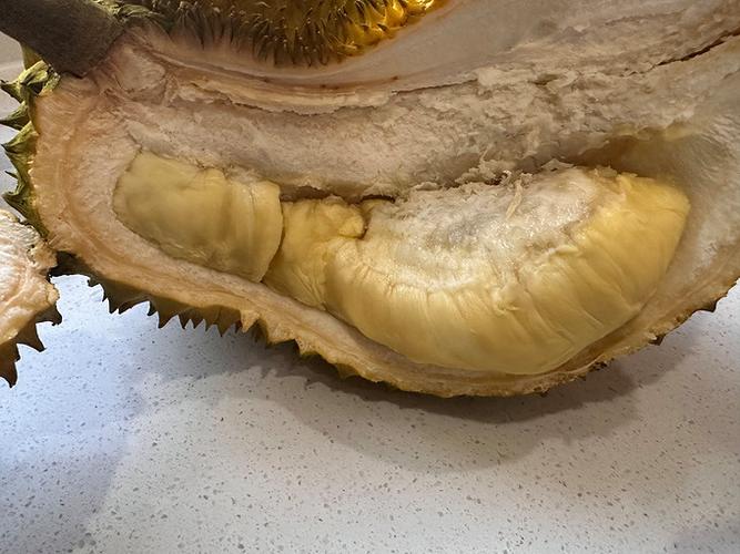 榴莲app下载污api免费下载