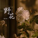 野花视频观看传媒