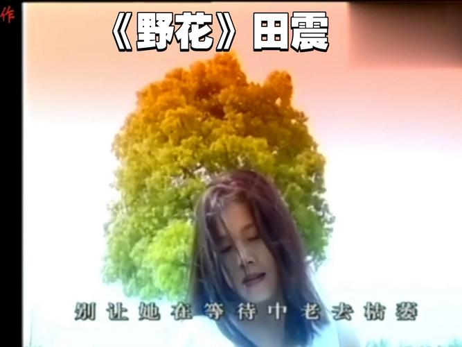 野花视频观看传媒