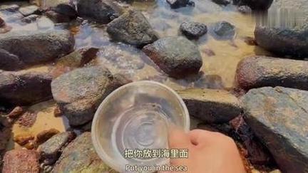 仙踪林短视频分享大全