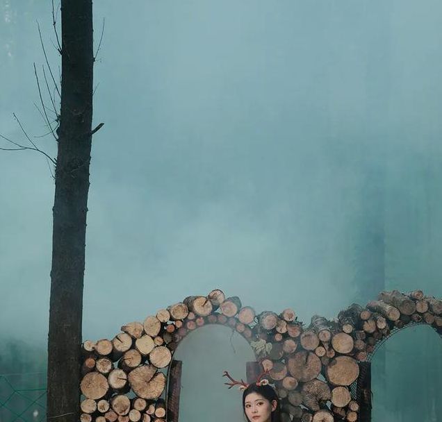 仙踪林短视频分享大全