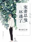 宠妻总裁坏透了完整版