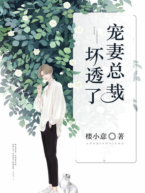 宠妻总裁坏透了完整版