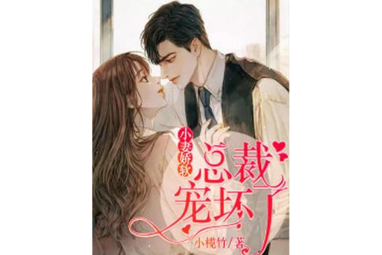 宠妻总裁坏透了完整版