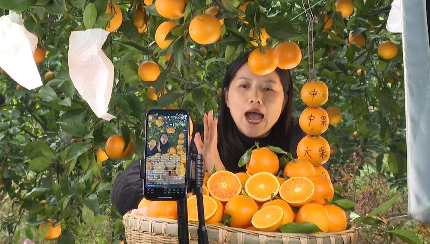 柑橘直播官方版