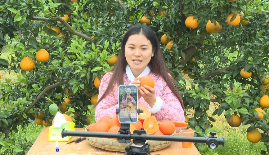 柑橘直播官方版