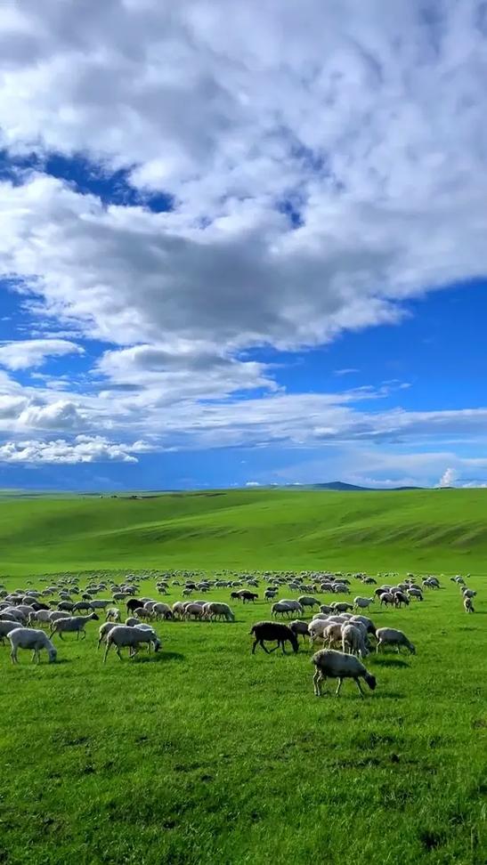 亚洲青青草原天天