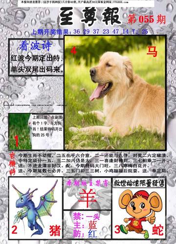 仙踪林贰佰信息网大豆行情网