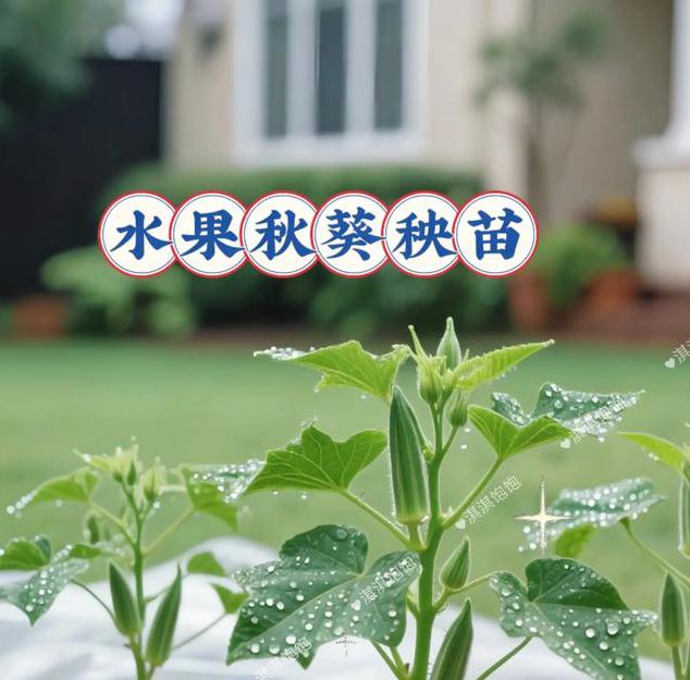 榴莲香蕉蜜桃绿巨人秋葵