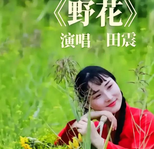 野花社区直播在线观看