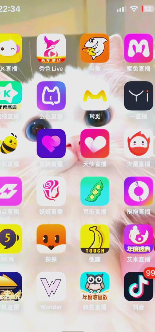 2021最火的直播app