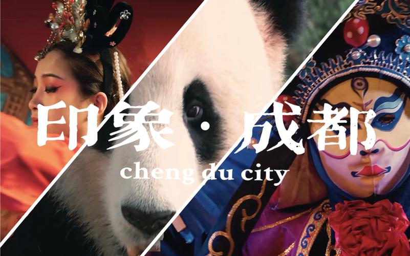 成都4片p免费完整版视频最新版