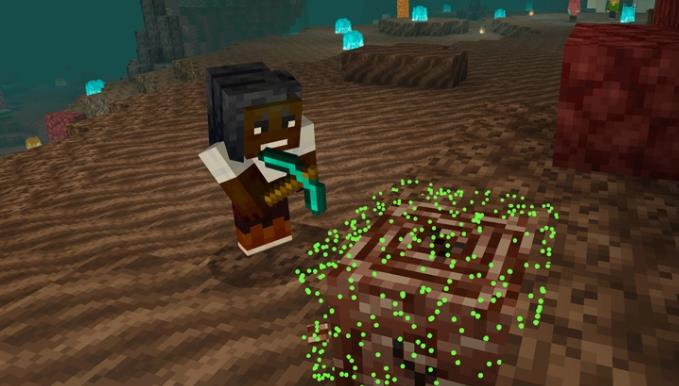 我的世界1.16.0.2