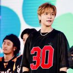 向日葵视频小猪罗志祥旧版本