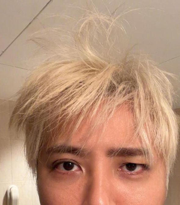 向日葵视频小猪罗志祥旧版本