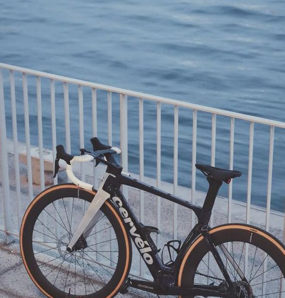 美国ceranetworks高清免费版