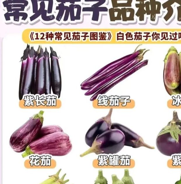 幸福宝丝瓜香蕉茄子大全