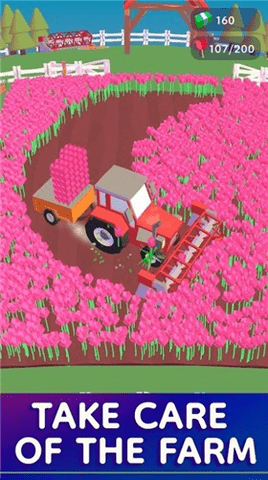 我的郁金香农场