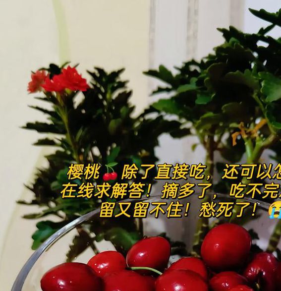 天堂樱桃bt在线www中文版