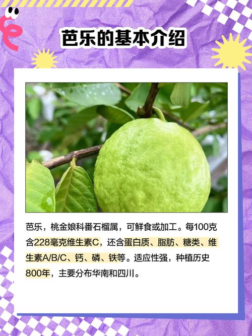 榴莲芭乐md在线观看