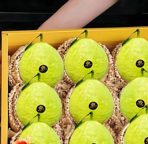 榴莲芭乐md在线观看