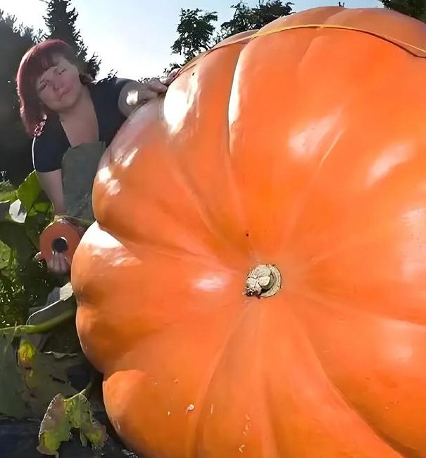 yasee2021南瓜视频