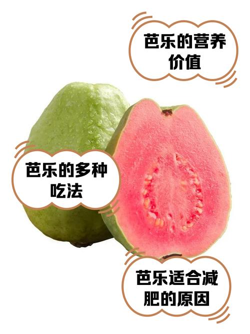 芭乐草莓绿巨人香蕉榴莲