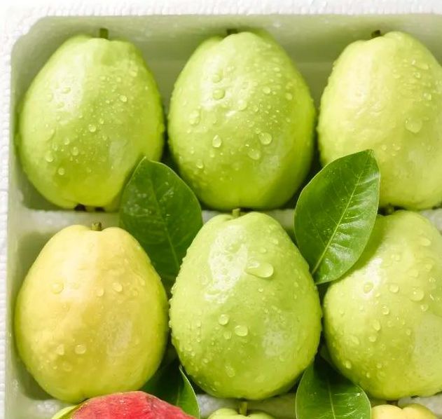 芭乐草莓绿巨人香蕉榴莲