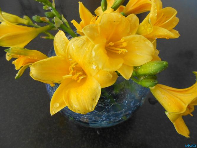 忘忧草社区www免费无删减