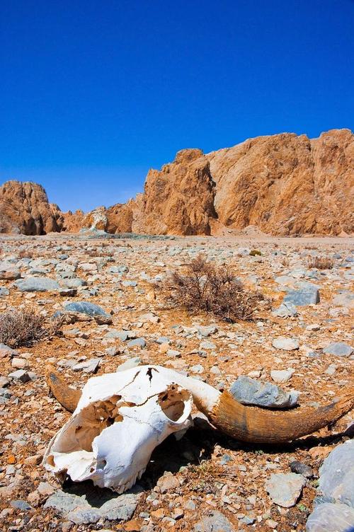 欧洲无人区天空码头IV