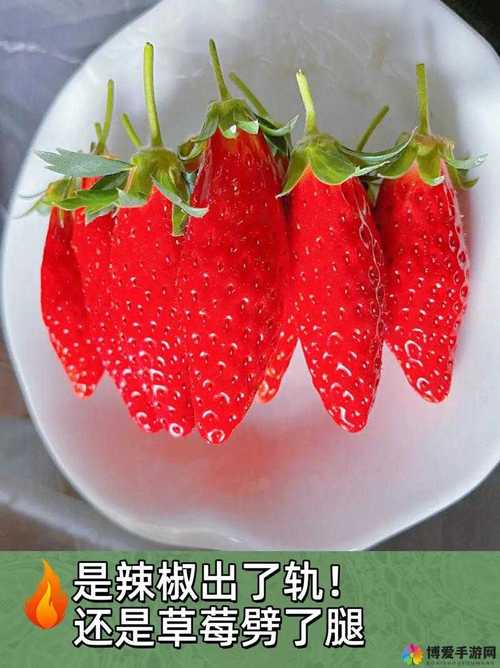 丝瓜草莓茄子榴莲视频免费