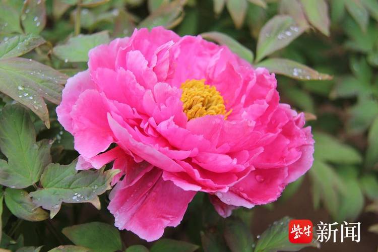 国色天香免费视频