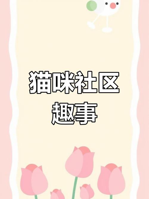 猫咪社区观看在线视频播放