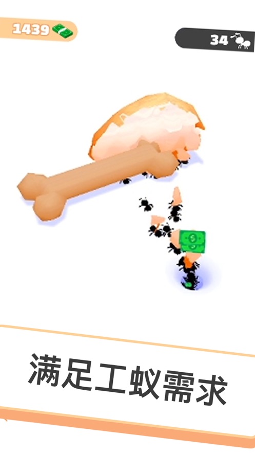 小蚁帝国安卓最新版