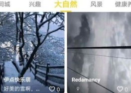 1729826031643055.png image.png