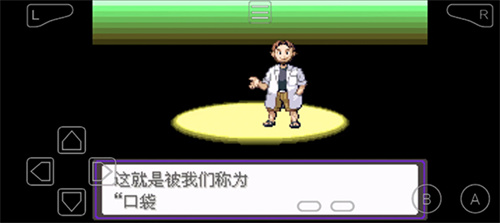 口袋妖怪漆黑的魅影5.0游戏