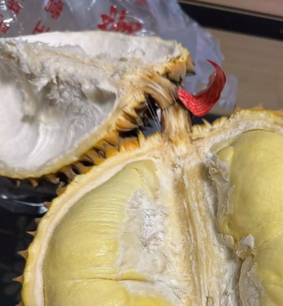 幸福宝免费无限看榴莲