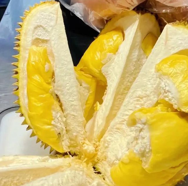 幸福宝免费无限看榴莲