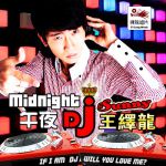 午夜dj国产视频大全