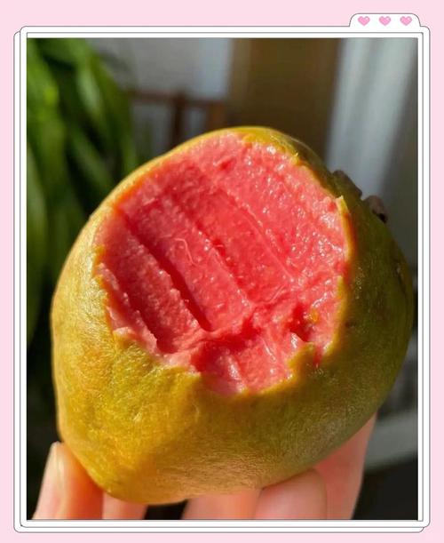 草莓榴莲芭乐向日葵秋葵榴莲资源链接