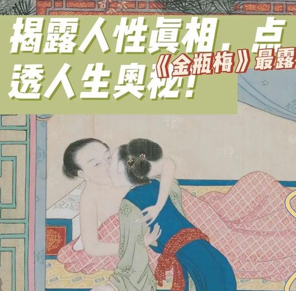 金瓶玉梅3d完整版国语