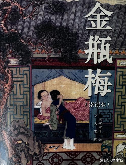 金瓶玉梅3d完整版国语